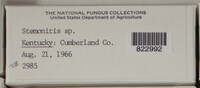 Image Associated With the Occurence